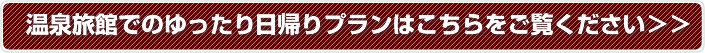 関西日帰りスキーツアー特集
